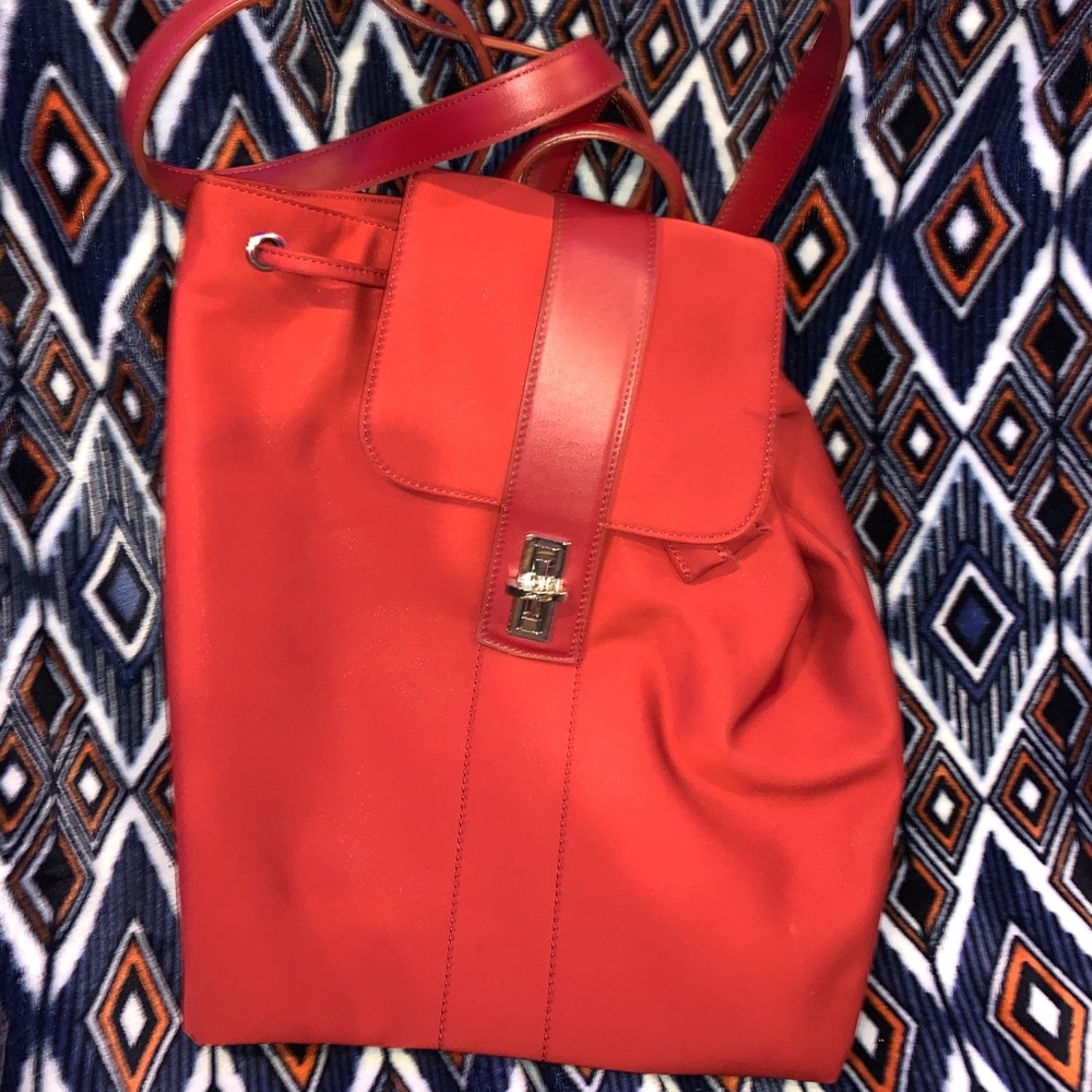 Back Pack style purse